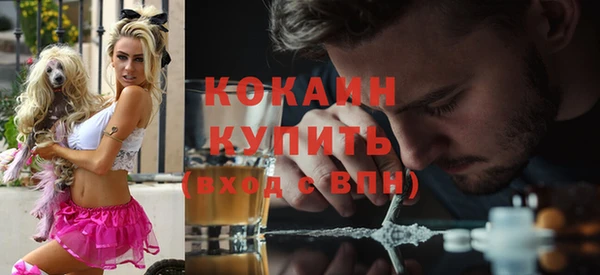 твердый Алексеевка