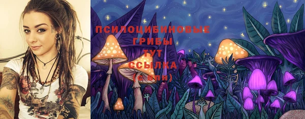 MDMA Алексин