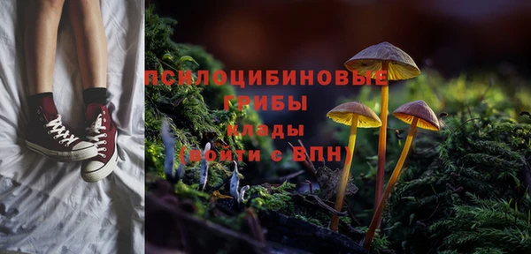 твердый Алексеевка